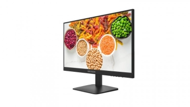 Монитор Hikvision DS-D5022F2-1P1 21.5