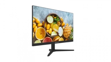 Монитор Hikvision DS-D5024FN11 24