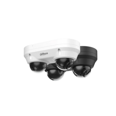 Dahua DH-IPC-HDBW2449F-AS-E2-IL 2x4 MP Smart Dual Light