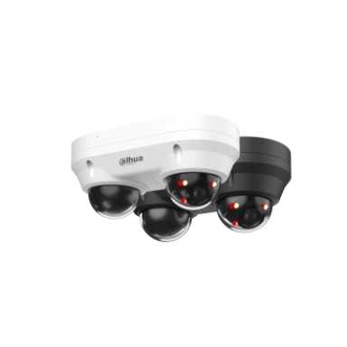 Dahua DH-IPC-HDBW2449F-AS-E2-IL 2x4 MP Smart Dual Light
